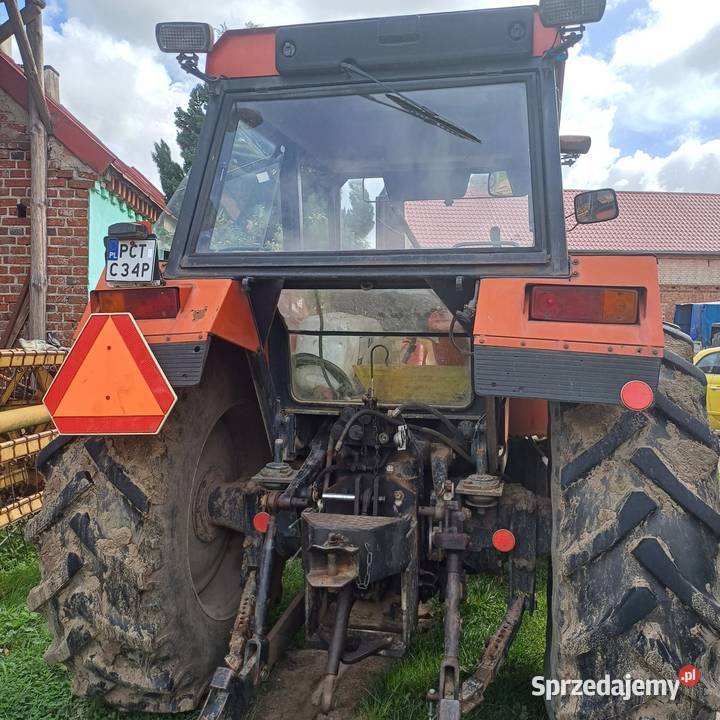 Ursus 1014 Wieleń sprzedam
