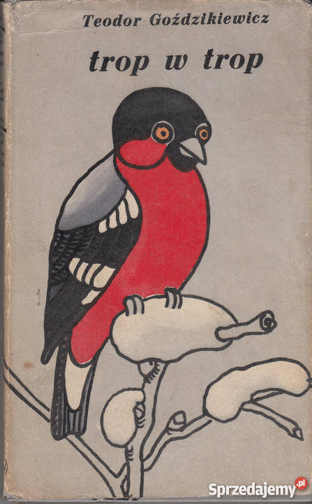 01087 TROP W TROP TEODOR GOŹDZIKIEWICZ
