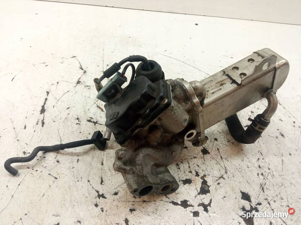 CHŁODNICA SPALIN 9671398180 20 TDCI Ford Mondeo Rok produkcji 2012