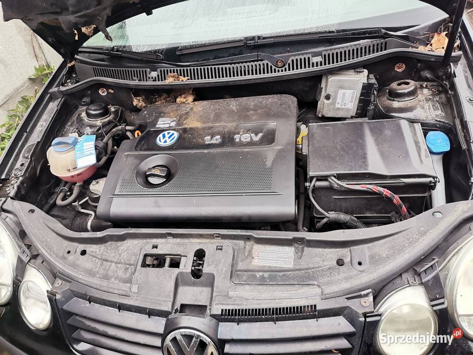 Sprzedam wszystkie części do Volkswagen Polo n9 Karoseria Gubin
