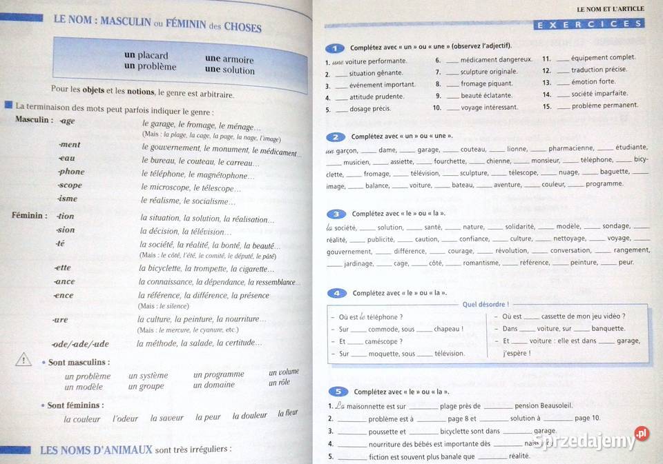 Grammaire progressive du franais avec 600 miękka Chełm