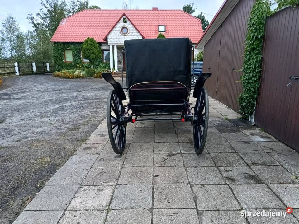 Glaslandauer Granatowy Lando Powóz Bryczka Konie Dobroń