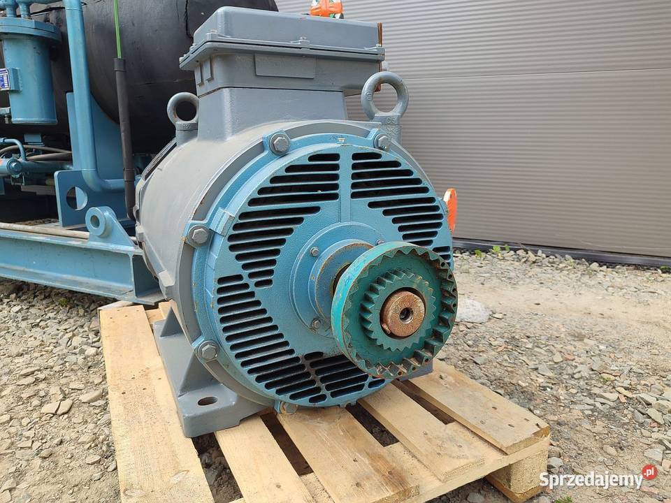 Sprężarka Gram GSV 147 silnik Schorch Niedźwiedź