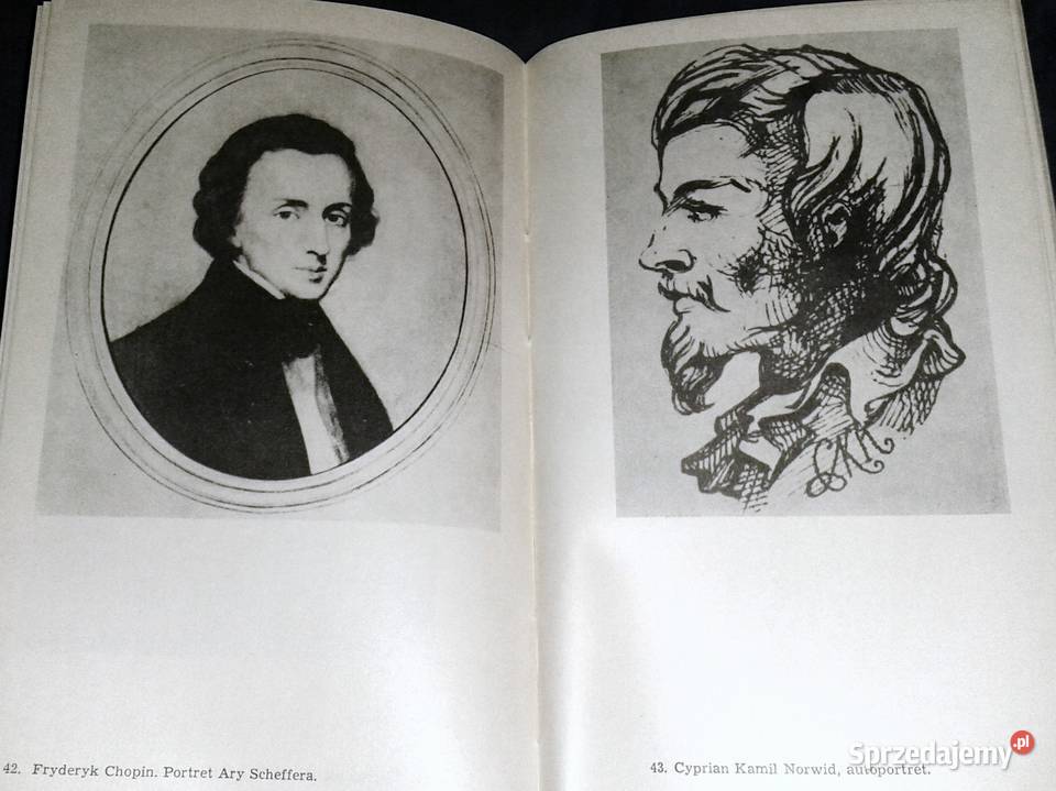 Słowacki Opowieść biograficzna Zbigniew Sudolski Chełm