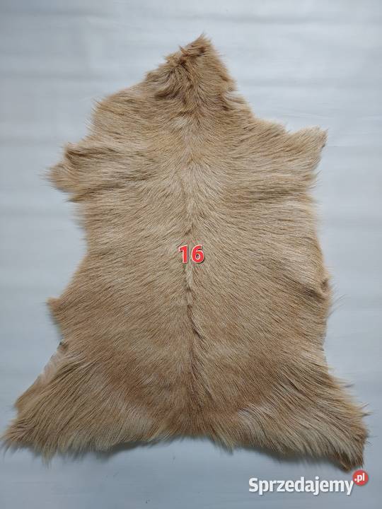 Skóry z Kóz Naturalne Skóry Dekoracyjne Skóra Sztukateria, dekoracja sufitu małopolskie