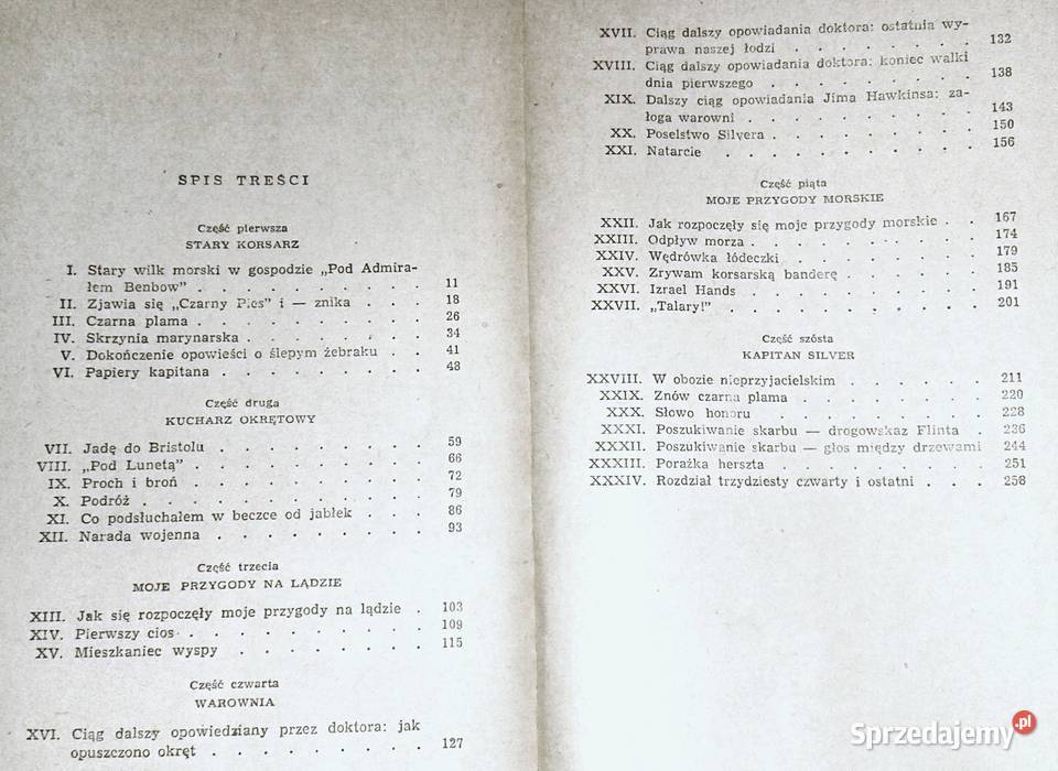 Wyspa skarbów Robert Louis Stevenson miękka Pozostałe Chełm