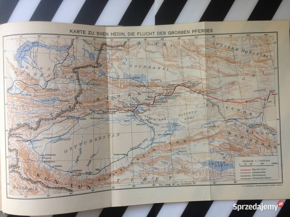 3604 Die Flucht Des Grossen Pferdes Szczecin sprzedam