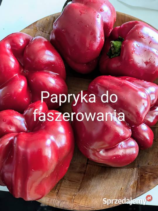 Nasiona Papryki j Sweetbites Corbacii kolory