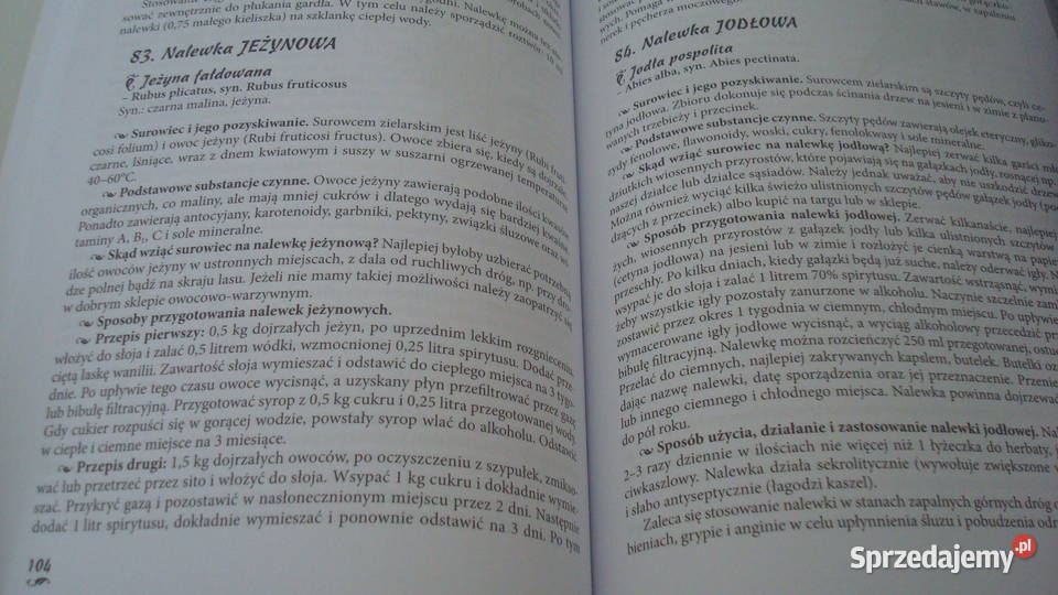 Zioła w nalewkach leczniczych Osięciny