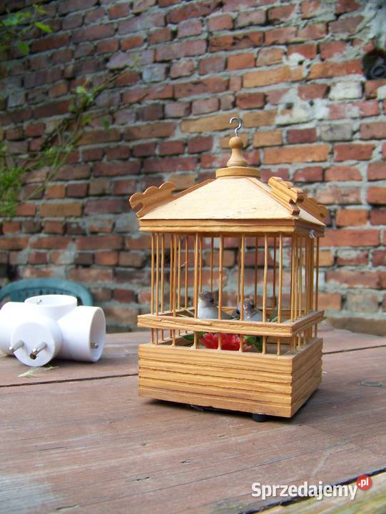 klatka drewniana z ptaszkami 15 Białogard