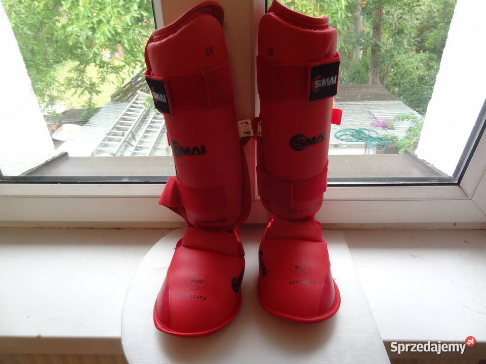 OCHRANIACZE NA GOLEŃ I STOPĘ WKF SMAI