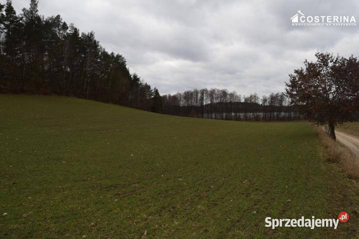 Działka Równe 14000m2