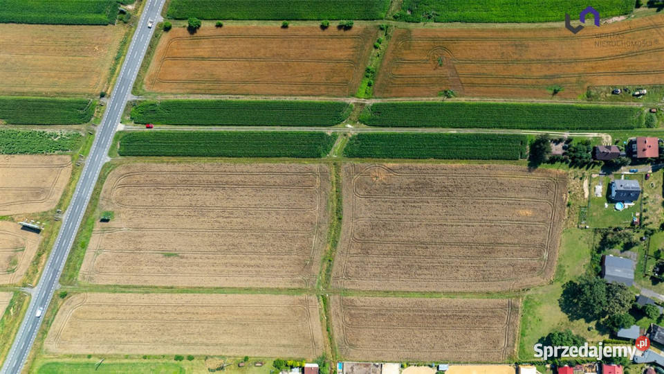 sprzedaży gruntu Paniówki 1636m2 sprzedam
