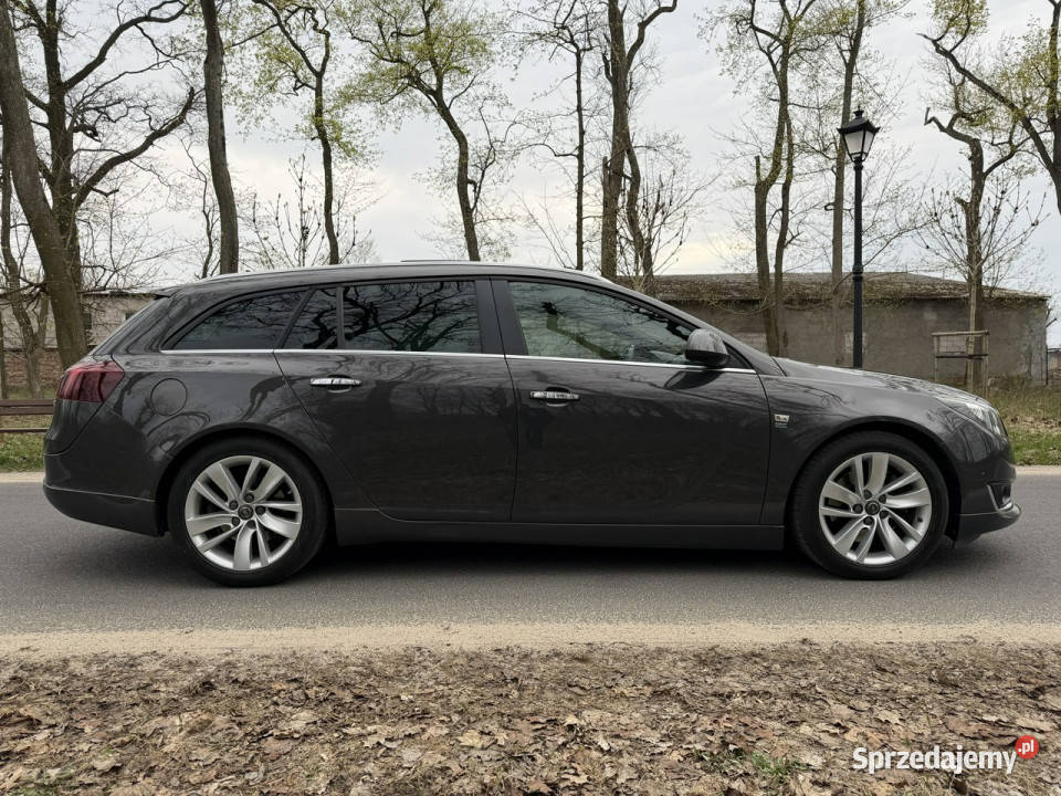 Opel Insignia OPC Indyvidual 20T 250 Automat Józefkowo