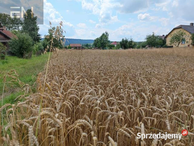 sprzedaży gruntu 3020m2 Godowa 33zł/m2