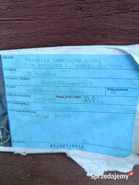 Pszenica banatus Czerników Karski