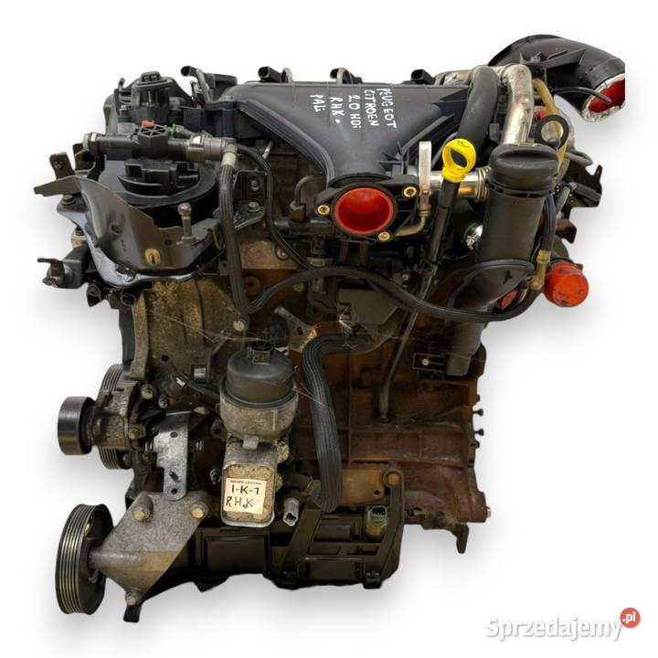 SILNIK RHK Citroen Jumpy Expert Fiat Scudo II 20 osobowe lubelskie Chełm