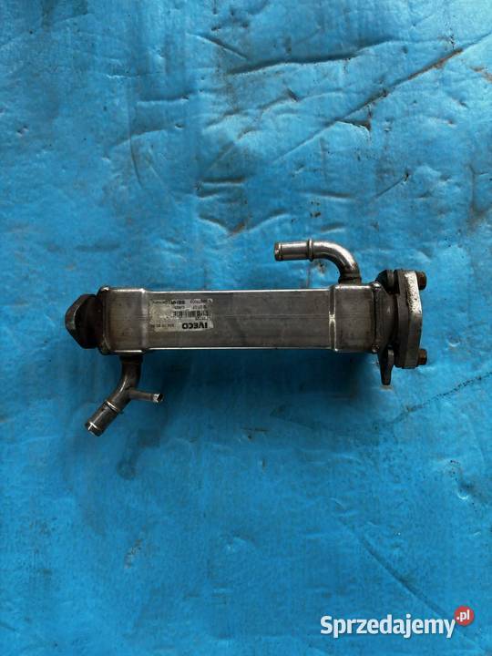 Chłodniczka EGR Iveco Warszawa