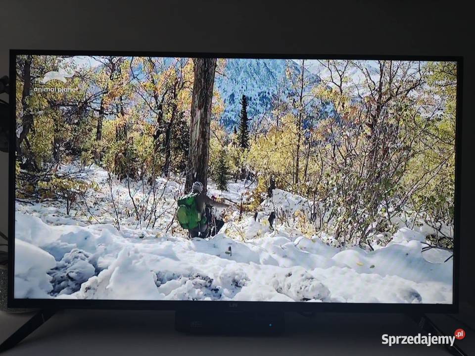 Telewizor LED LIN 40 FHD1200 jeszcze z roczną Elektronika