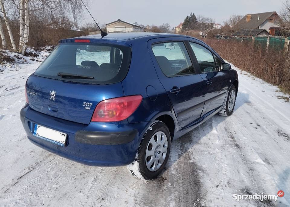 Peugeot 307 16 HDi stan tech manualna Oleśnica sprzedam