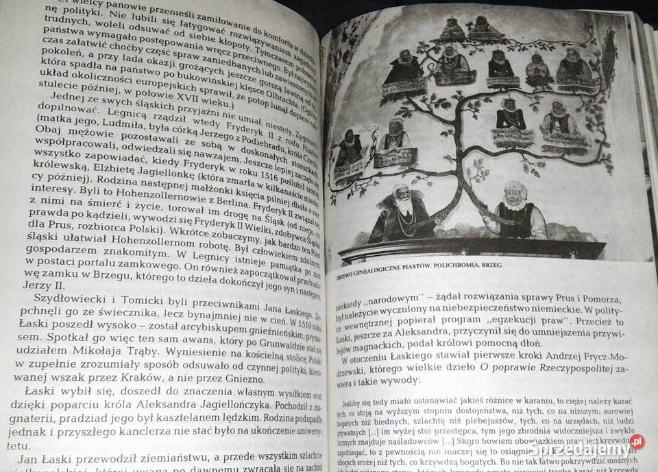 Polska Jagiellonów Paweł Jasienica Chełm