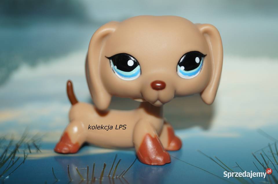 LPS Littlest Pet Shop jamnik 1211 oryginalny pop Rybnik