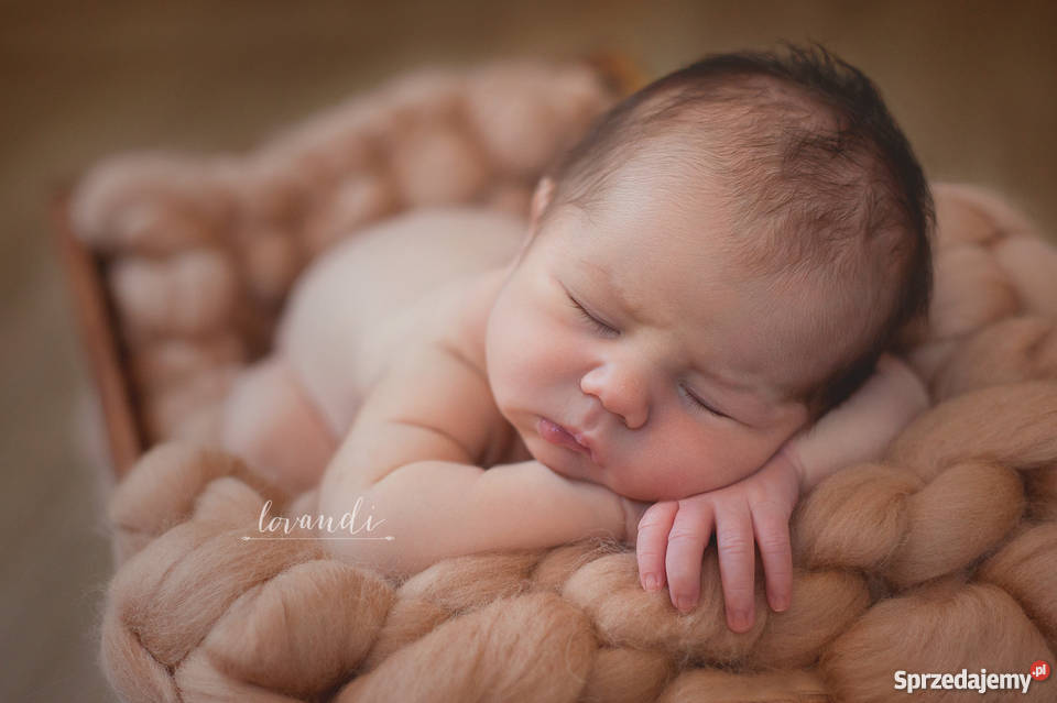 Sesja noworodkowa Wrocław Wrocław