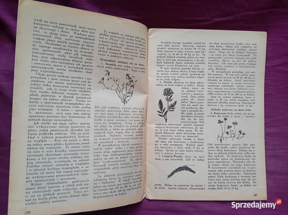 Miesięcznik Plon 4 kwiecień 1937 r IV