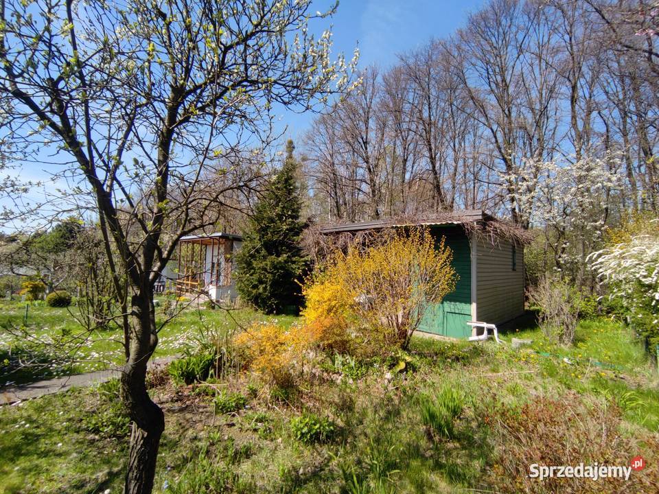 Działka ROD Łagiewniki Domek piwnica media prąd Łódź