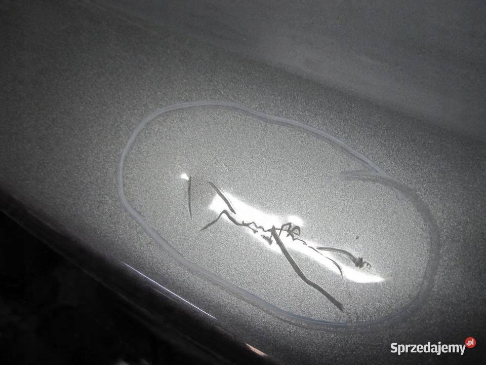 CITROEN C3 II 10r klapa tył