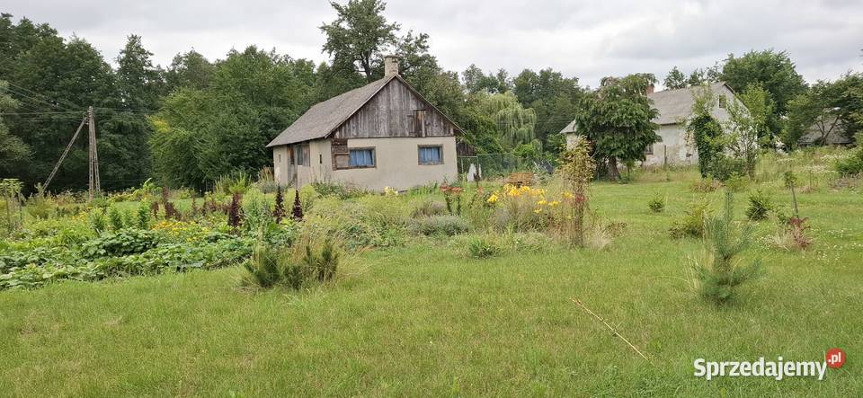 Sprzedam działkę bezpośrednio Suchodoły sprzedam