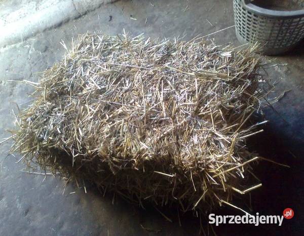 słoma w kostkach pszenna Gierałtowiczki