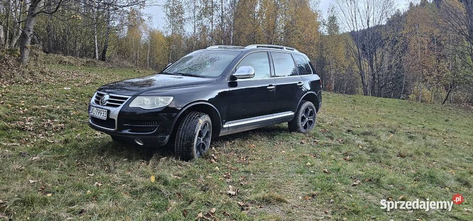 Touareg spotkaniu z sarną Touareg sprzedam