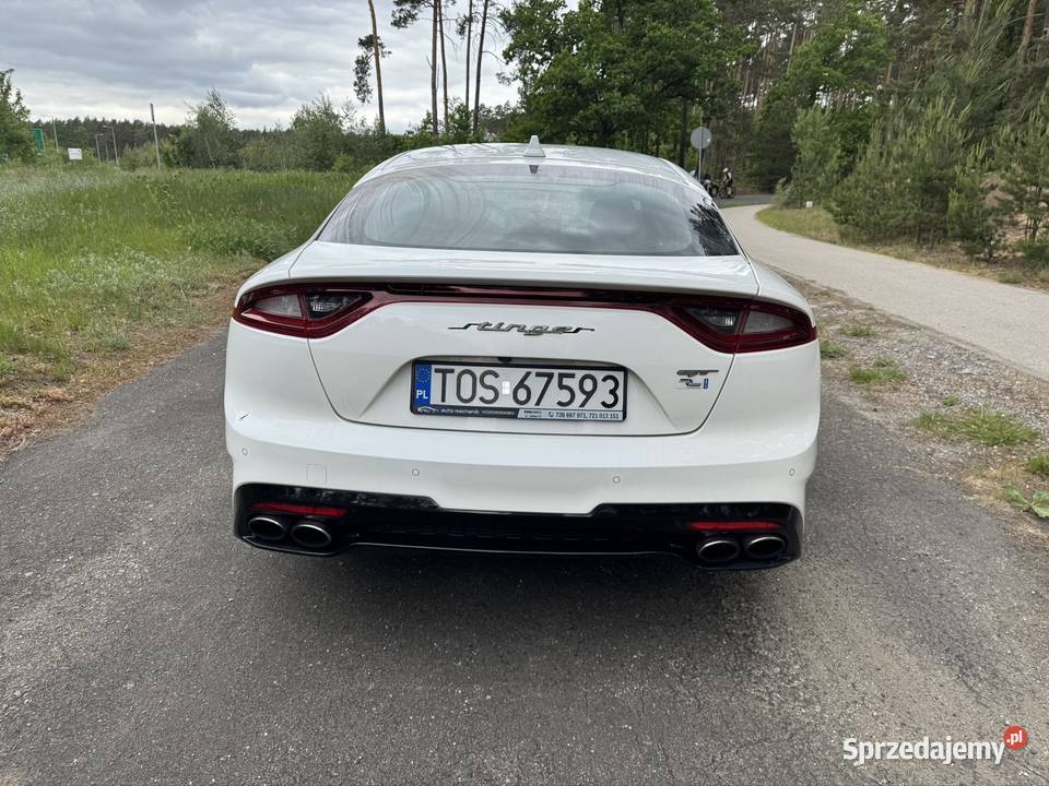 Kia Stinger 33 V6 RWD 440 full 4/5 Trzciniec