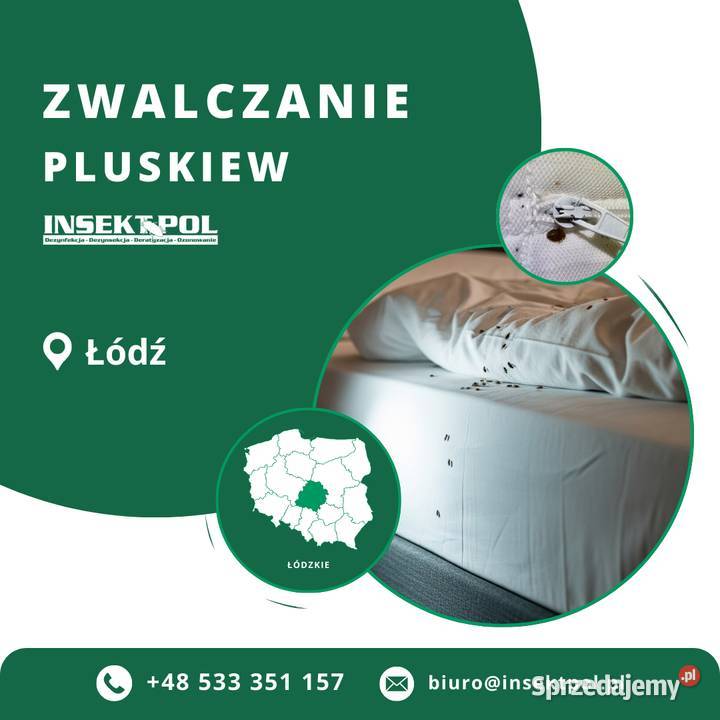 Zwalczanie pluskiew Łódź Odpluskwianie Skuteczna