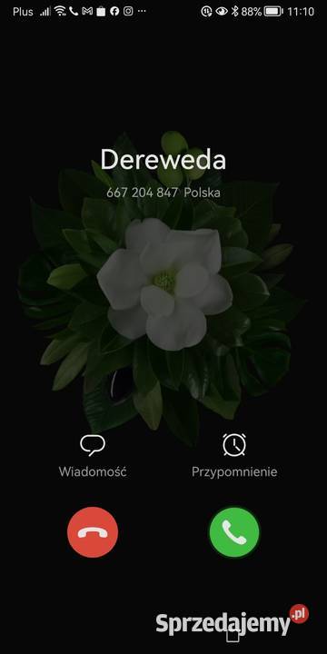Bluzeczka dziewczynki
