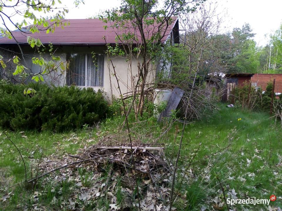 Sprzedam Borowa sprzedam