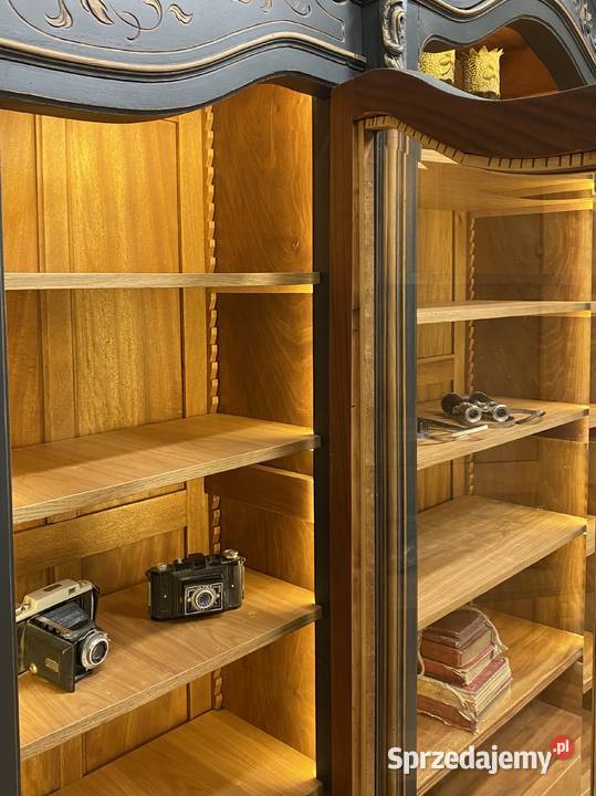 BIBLIOTEKA 3drzwiowa witryna antracyt Ludwik XV Poznań