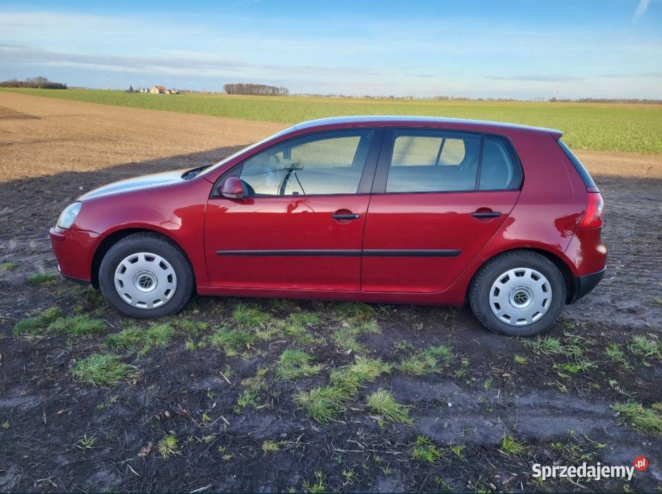 Volkswagen Golf V 19 tdi Golf Bieganowo