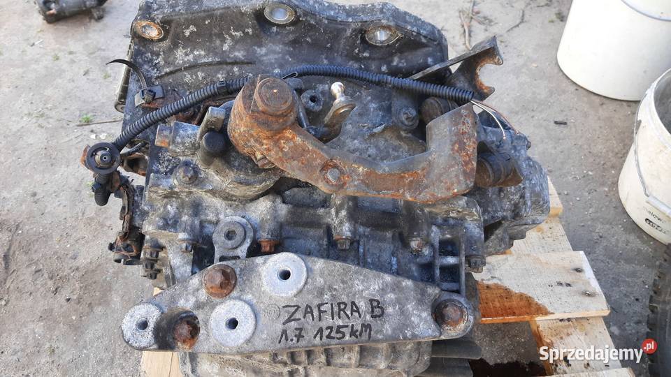skrzynia biegów Opel Zafira B 17 125 55192042 osobowe dolnośląskie Dębno