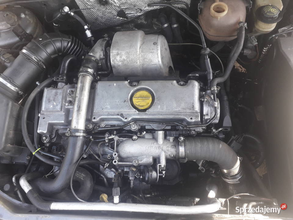 opel signum 22dti na czesci manualna Komarówka Podlaska