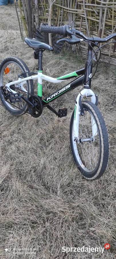 Rower dziecięcy 20 Rowery Leszno