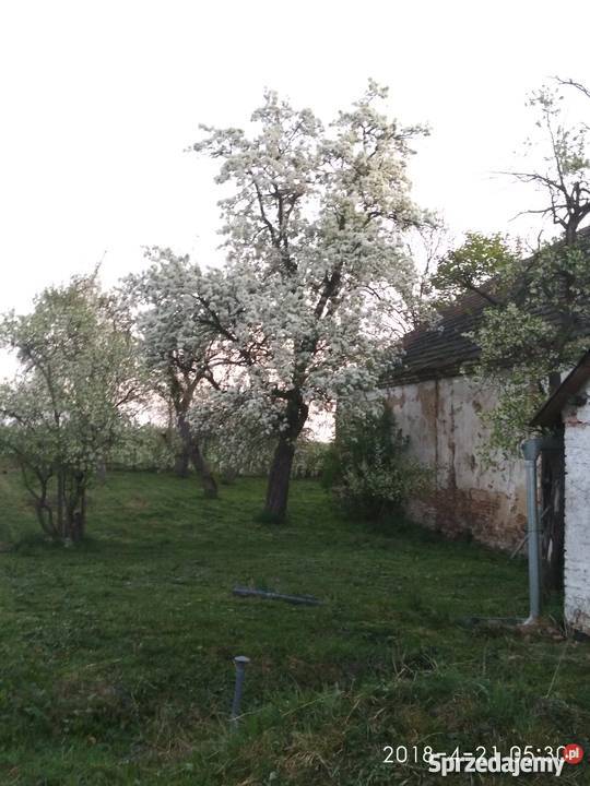 trzebina bad wachtel kunzendof góry opawskie 100m2