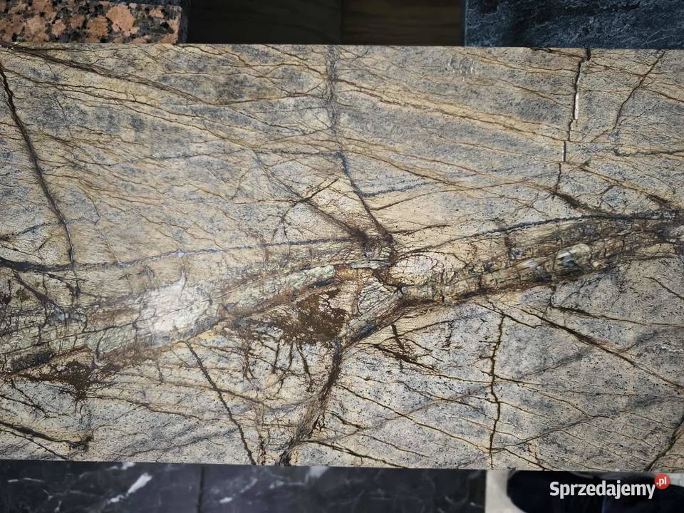 Płytki Marmur Rain Forest Brown szczotkowany Rumia