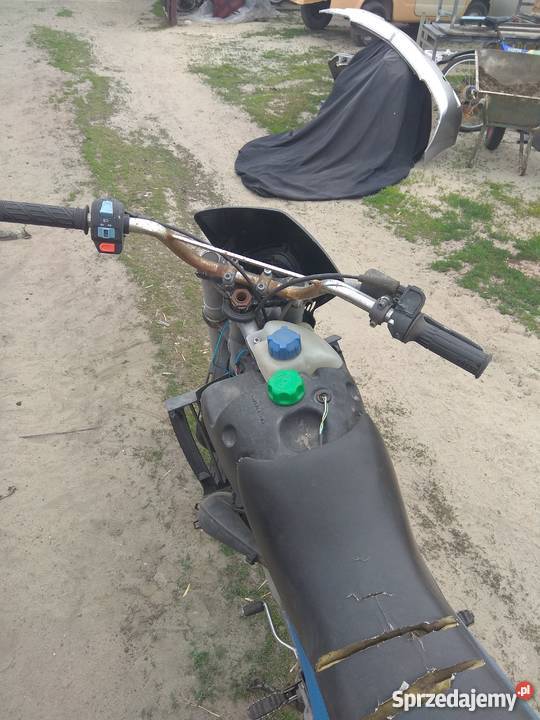 Debi Senda R 99r wielkopolskie Latowice