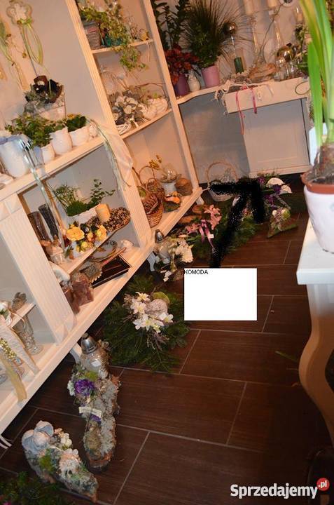 Meble do kwiaciarni restauracji jadalani 0cm Kępa sprzedam