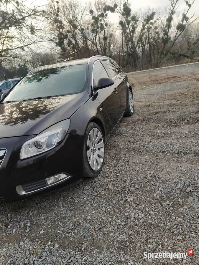 Opel Insignia Pozostałe Lublin