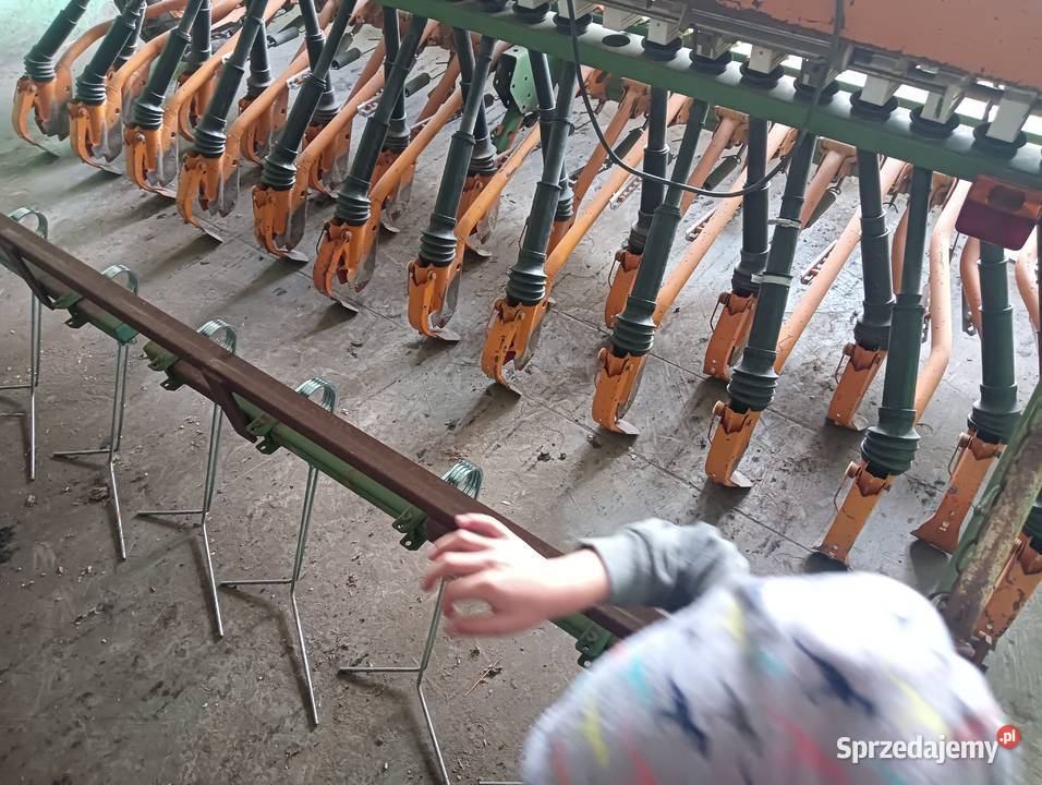 Siewnik amazone d7 3 m nieuszkodzony Strzelno sprzedam
