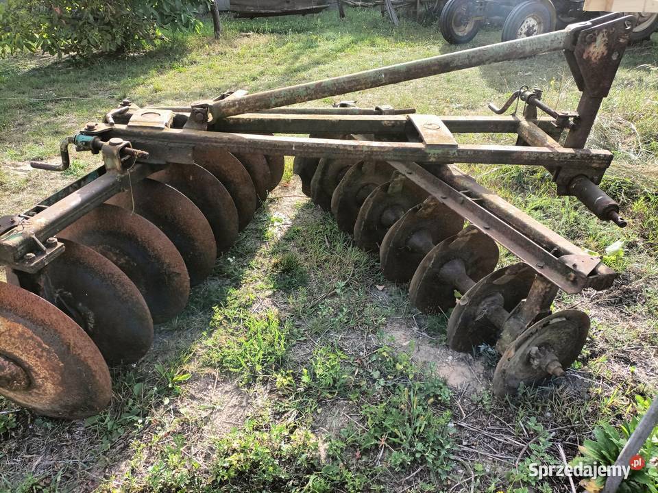 Brona Talerzowa Drzewica sprzedam