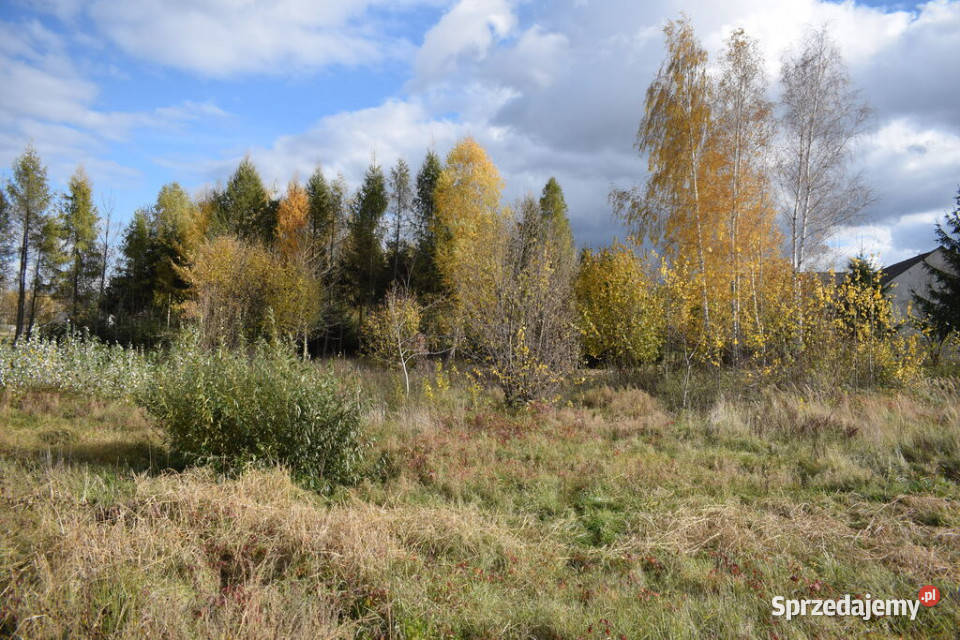 Działka 1937a Rzeszów rolna